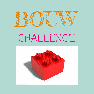 Thuiswerken: Bouw challenge (rekenen)
